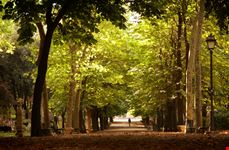 Villa Borghese