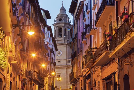 Pamplona Pamplona Henryk Sadura - Shutterstock.com 