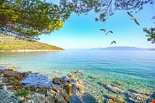 Spiagge