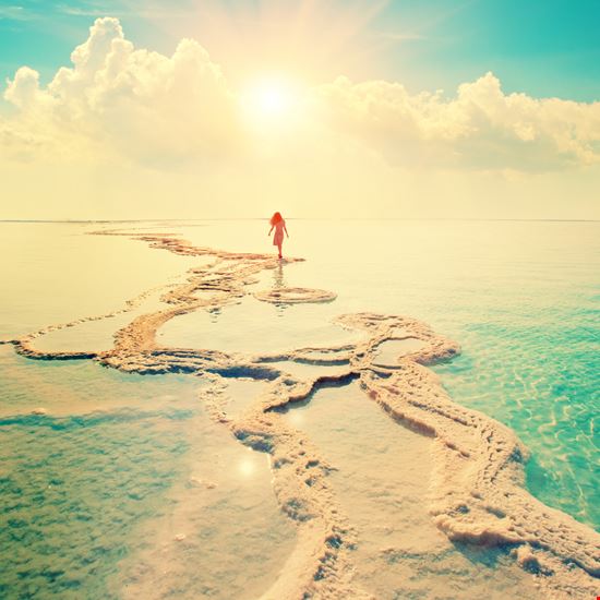 Mar Morto Mar Morto vvvita - Shutterstock.com 