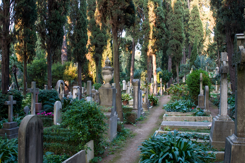 Roma