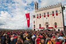 Festa Dei Ceri