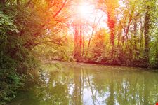 Parco di Villa Sorra