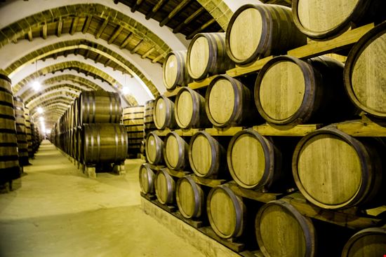Cantine Florio Cantine Florio Antonio Petrone / Shutterstock.com 