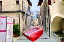 Borgo DiVino a Bard