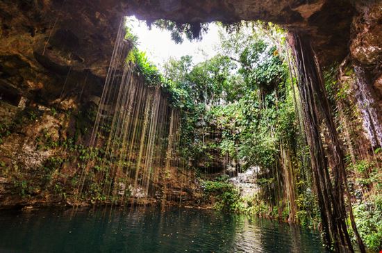 Cenote Cenote Galyna Andrushko - Shutterstock.com 