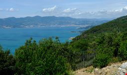 Ameglia