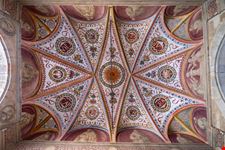 424012309200501_Pavia_1492674929.jpg