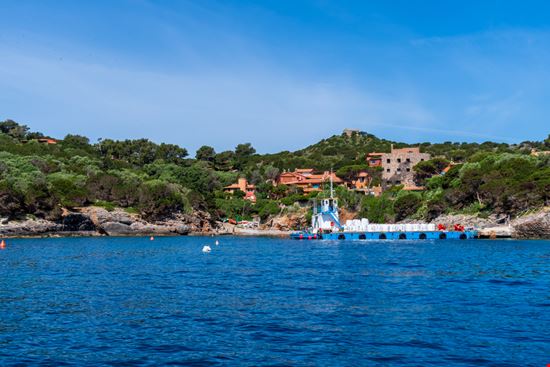 Giannutri La piccola isola delle meraviglie Giongi63 - Shutterstock.com 