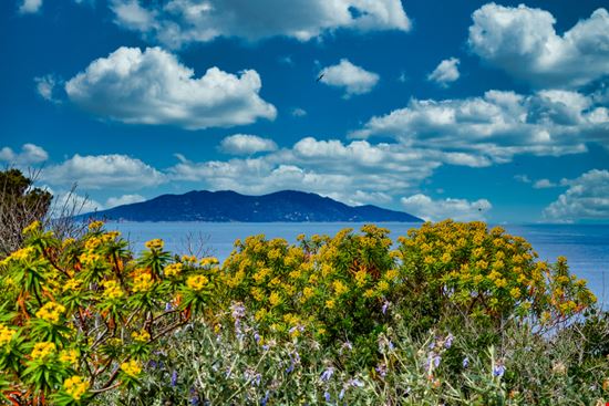 Giannutri La piccola isola delle meraviglie Paolo Borella - Shutterstock.com 