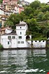 Nesso