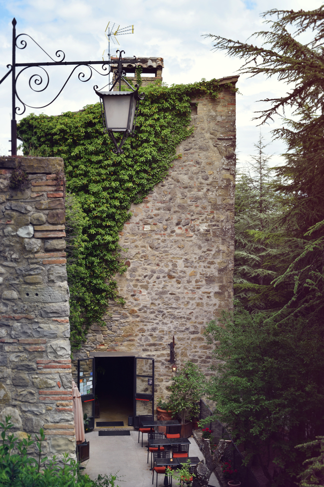 Montone
