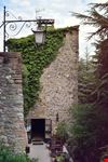 Montone