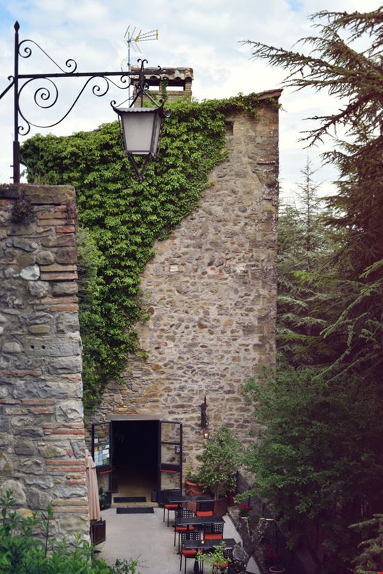 Montone Montone znatalias - Shutterstock.com 