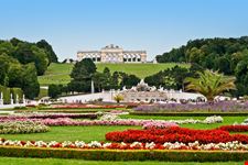 Vienna