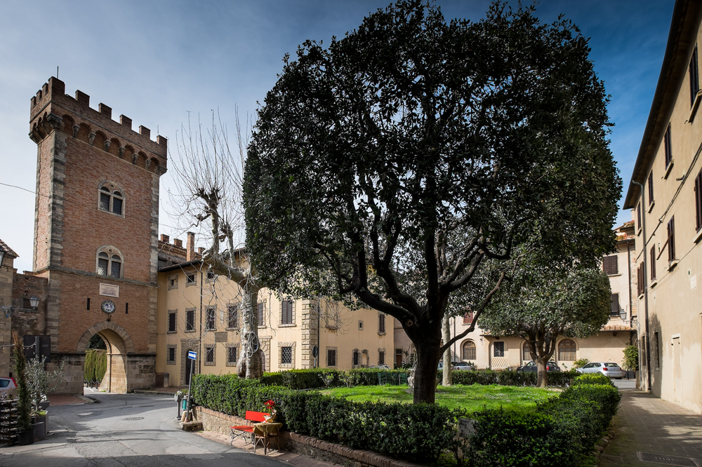 Bolgheri