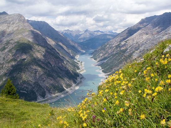 Livigno Lago di Livigno Mor65_Mauro Piccardi - Shutterstock.com 