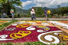 Infiorata