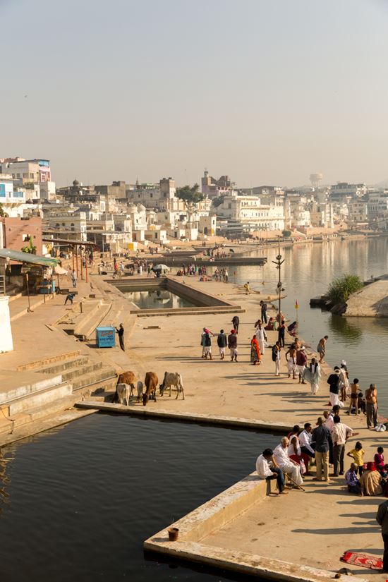 Pushkar Pushkar Filipe Frazao / Shutterstock.com 