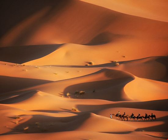 Deserto del Sahara Deserto del Sahara evenfh - Istockphoto.com 