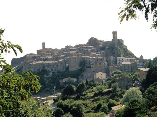 Roccatederighi Roccatederighi Petitverdot - Wikipedia Pubblico dominio 