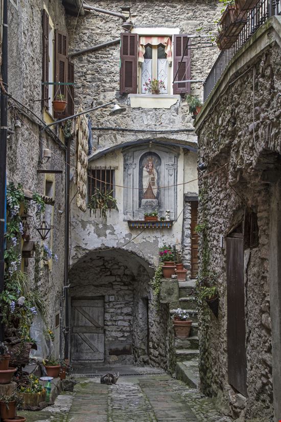 Isolabona Isolabona Eder - Shutterstock.com 