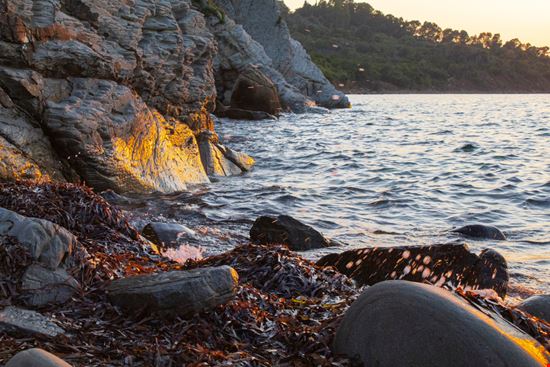 Baia di Trentova Baia di Trentova PH RIOS / Shutterstock.com 
