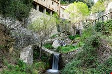 Cortona