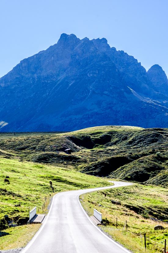 Silvretta Silvretta FooTToo - Shutterstock.com 