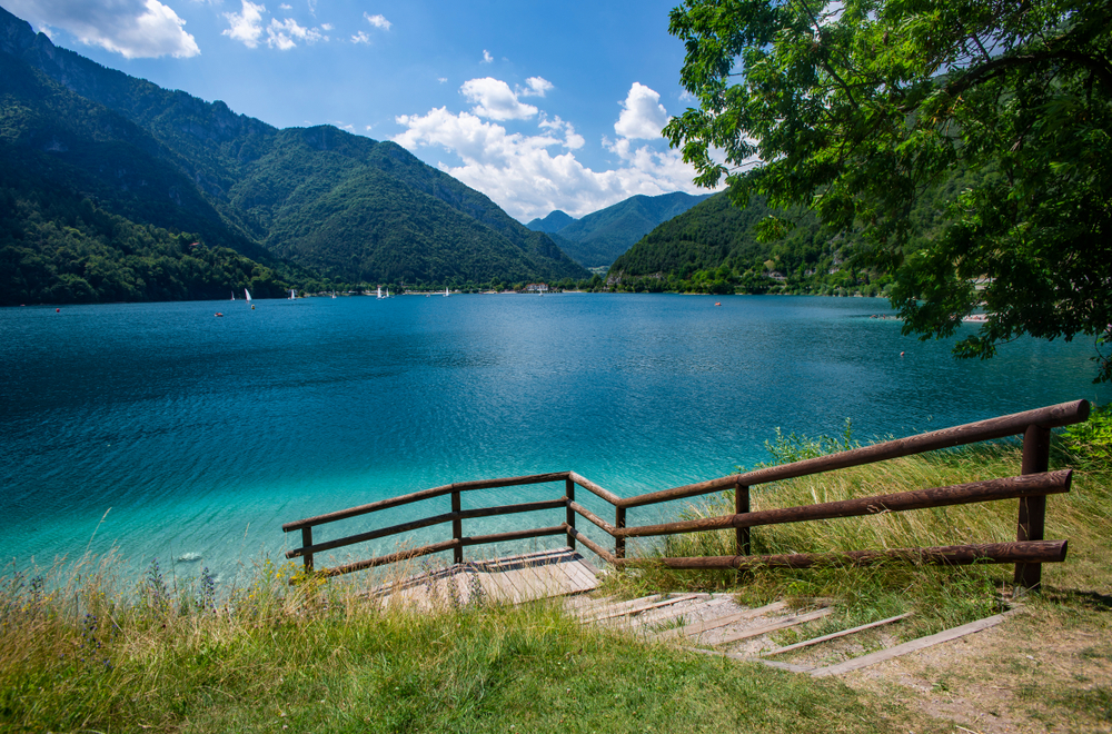 Se ami la natura, queste 5 zone verdi in Italia sono perfette per fare forest bathing