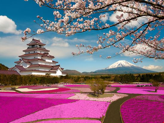 Monte Fuji Monte Fuji Krishna.Wu - Shutterstock.com 
