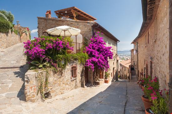 Castiglione della Pescaia Castiglione della Pescaia pixelshop - Shutterstock.com 