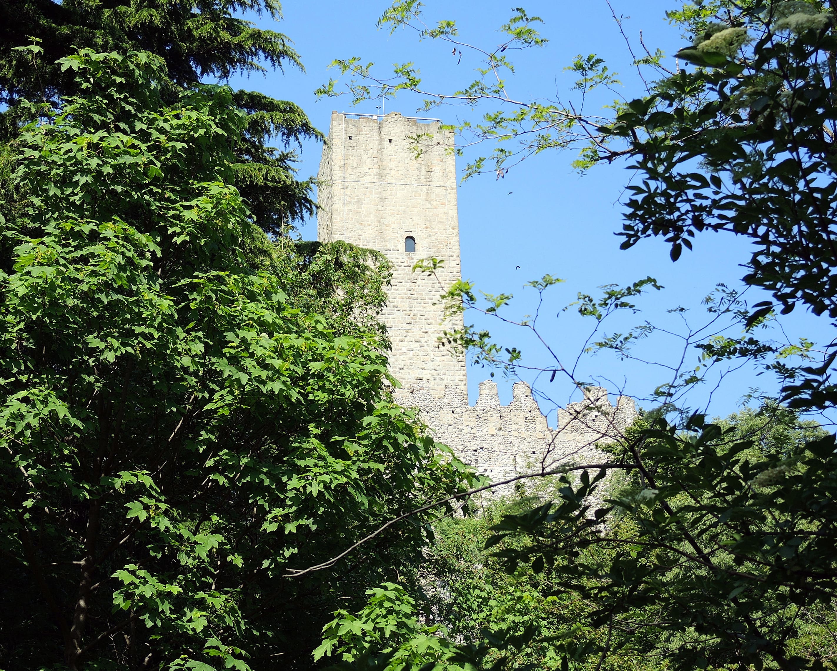 Castel Baradello