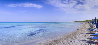 Gallipoli