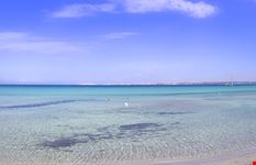Gallipoli