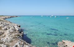 Gallipoli