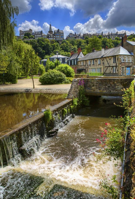 Fougères Fougères Rolf E. Staerk - Shutterstock.com 