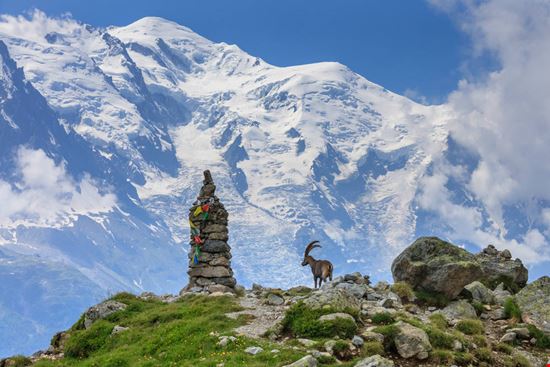 Monte Bianco Monte Bianco Porojnicu Stelian - Shutterstock.com 