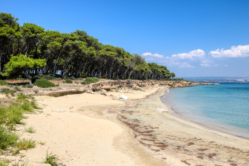 Isola di San Pietro