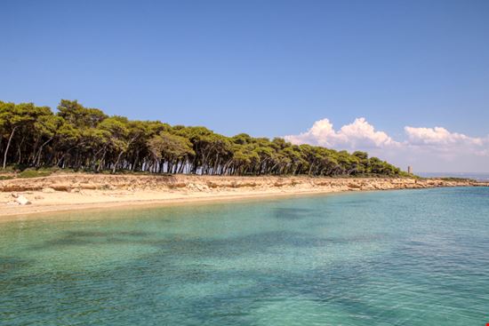 Isola di San Pietro Isola di San Pietro Massimo Todaro - Shutterstock.com 