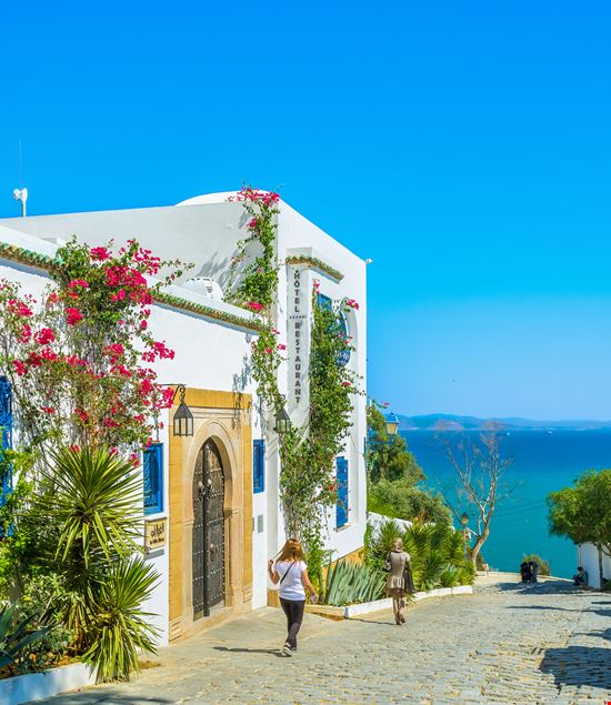 Sidi Bou Saïd Sidi Bou Saïd efesenko - Istockphoto.com 