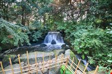 Giardini Giapponesi