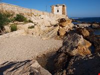 Trapani