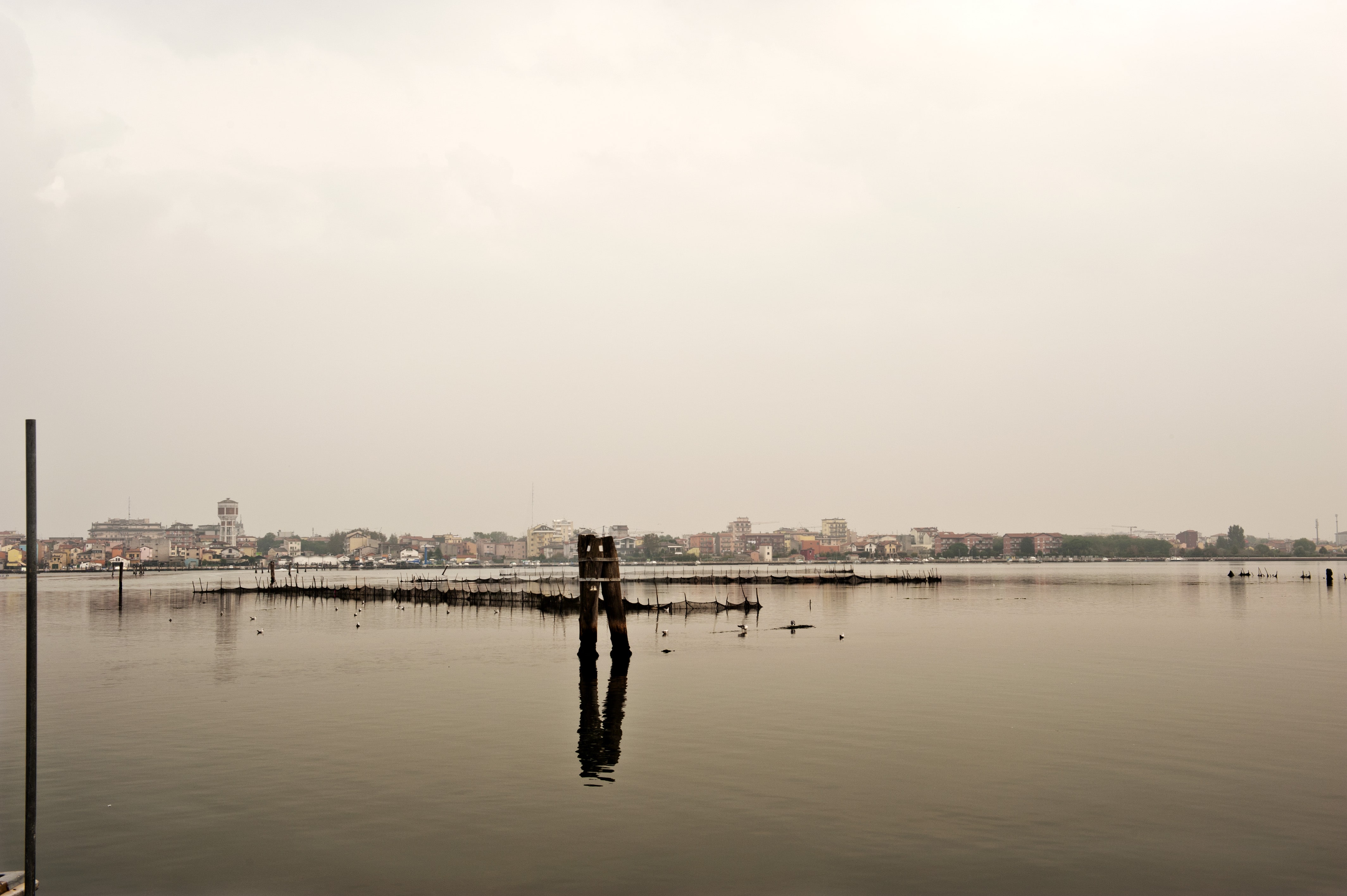Chioggia