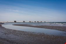 Chioggia