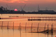Chioggia