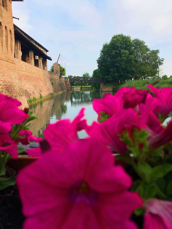 Pagazzano Castello  stock.adobe.com 
