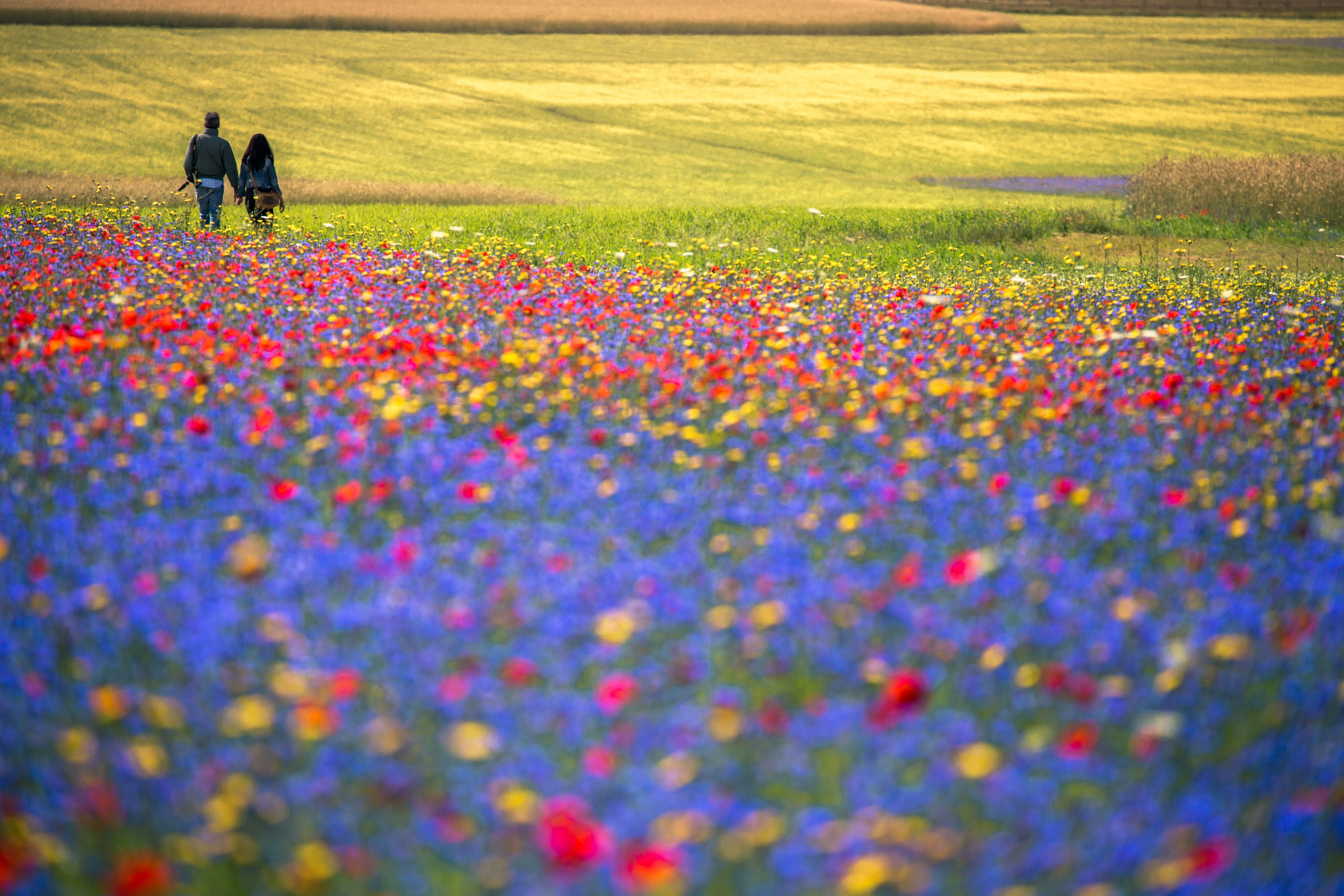 Castelluccio di Norcia