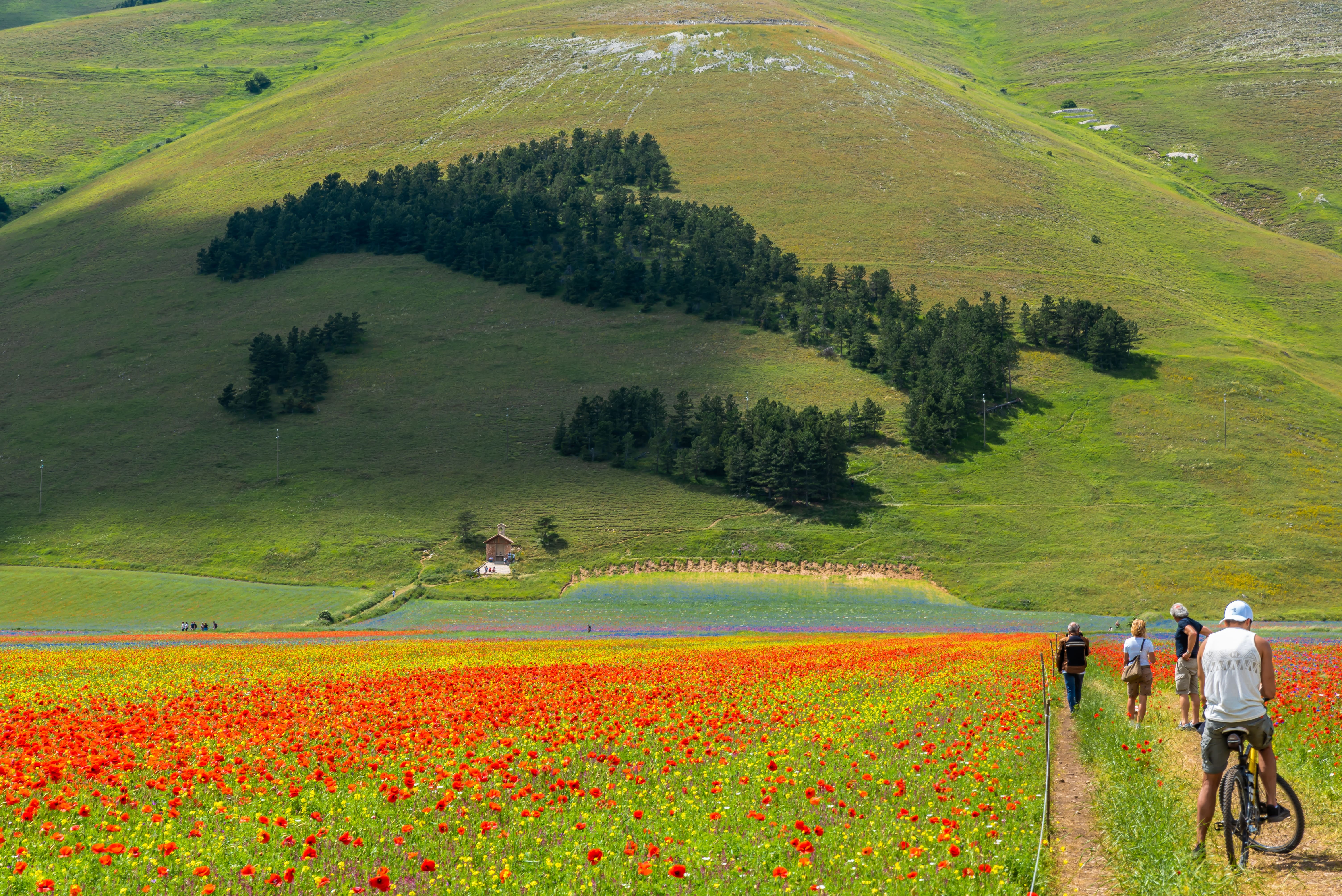 Castelluccio di Norcia