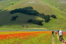 Castelluccio di Norcia
